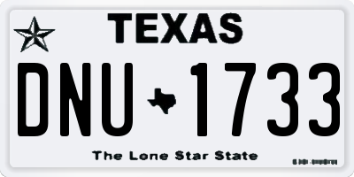TX license plate DNU1733