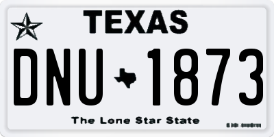 TX license plate DNU1873