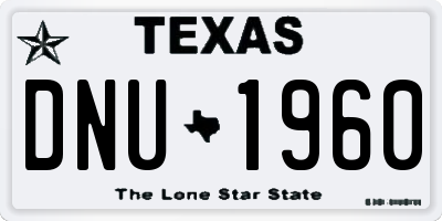 TX license plate DNU1960