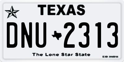 TX license plate DNU2313