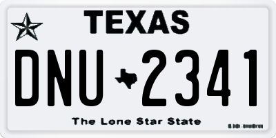 TX license plate DNU2341