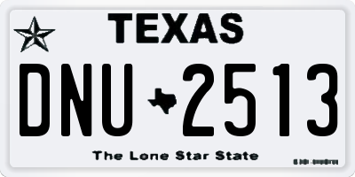 TX license plate DNU2513