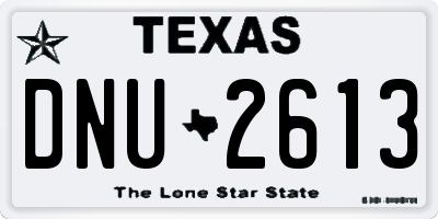 TX license plate DNU2613