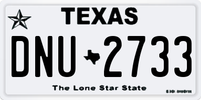 TX license plate DNU2733
