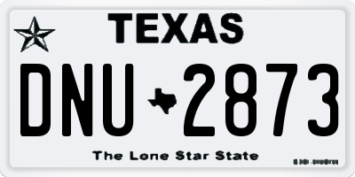 TX license plate DNU2873