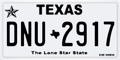TX license plate DNU2917