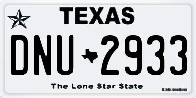 TX license plate DNU2933
