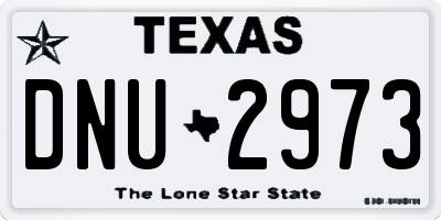 TX license plate DNU2973