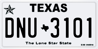 TX license plate DNU3101