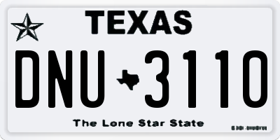 TX license plate DNU3110