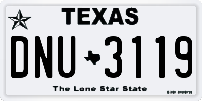 TX license plate DNU3119