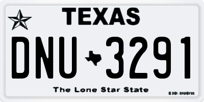 TX license plate DNU3291