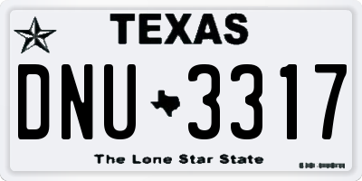 TX license plate DNU3317