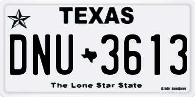 TX license plate DNU3613