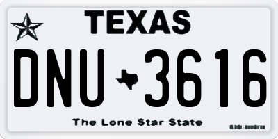 TX license plate DNU3616
