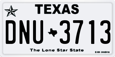 TX license plate DNU3713