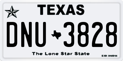 TX license plate DNU3828