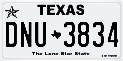 TX license plate DNU3834