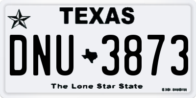 TX license plate DNU3873