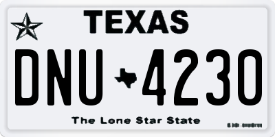 TX license plate DNU4230