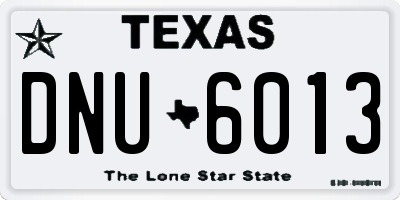 TX license plate DNU6013