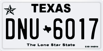 TX license plate DNU6017