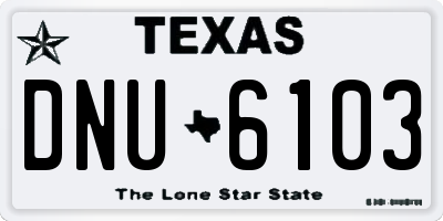 TX license plate DNU6103