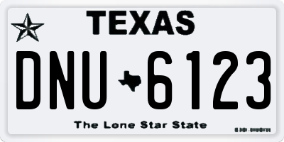 TX license plate DNU6123