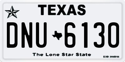 TX license plate DNU6130
