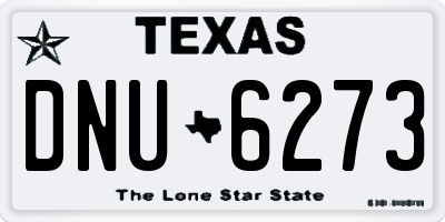 TX license plate DNU6273