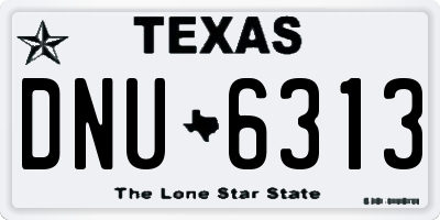 TX license plate DNU6313