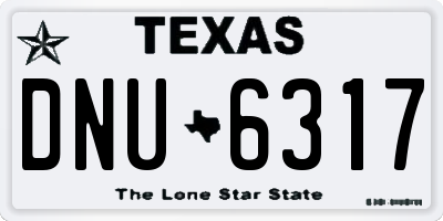 TX license plate DNU6317