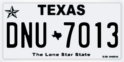 TX license plate DNU7013