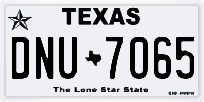 TX license plate DNU7065