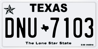 TX license plate DNU7103