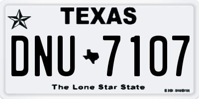 TX license plate DNU7107