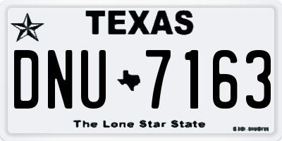 TX license plate DNU7163