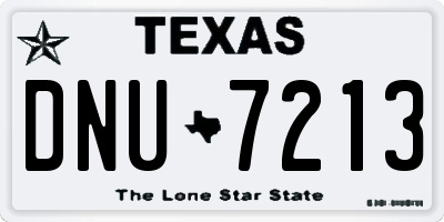 TX license plate DNU7213