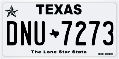 TX license plate DNU7273