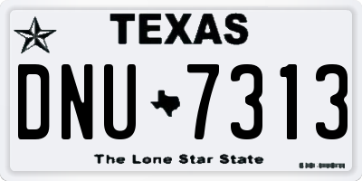TX license plate DNU7313