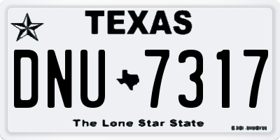 TX license plate DNU7317