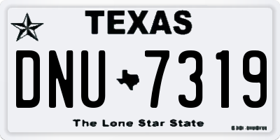 TX license plate DNU7319