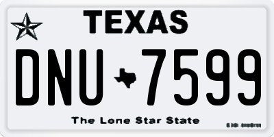 TX license plate DNU7599