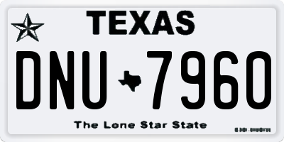 TX license plate DNU7960