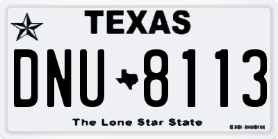TX license plate DNU8113