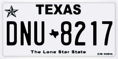 TX license plate DNU8217