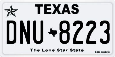 TX license plate DNU8223
