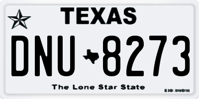 TX license plate DNU8273