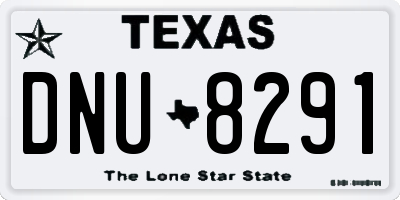 TX license plate DNU8291