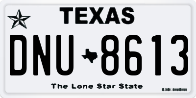 TX license plate DNU8613
